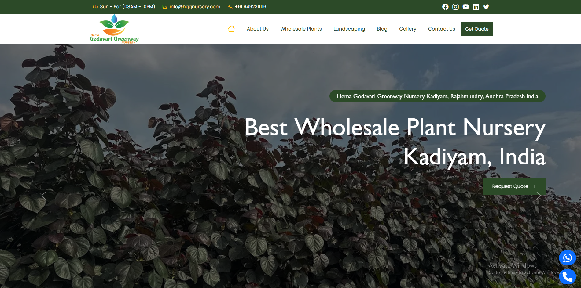 Custom web development and SEO services offered by GatewayWebs